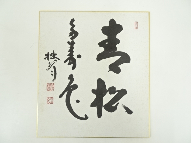 3920 山口萬拙 「青松多寿色」 共箱 肉筆 紙本 大徳寺 臨済宗 書 掛軸
